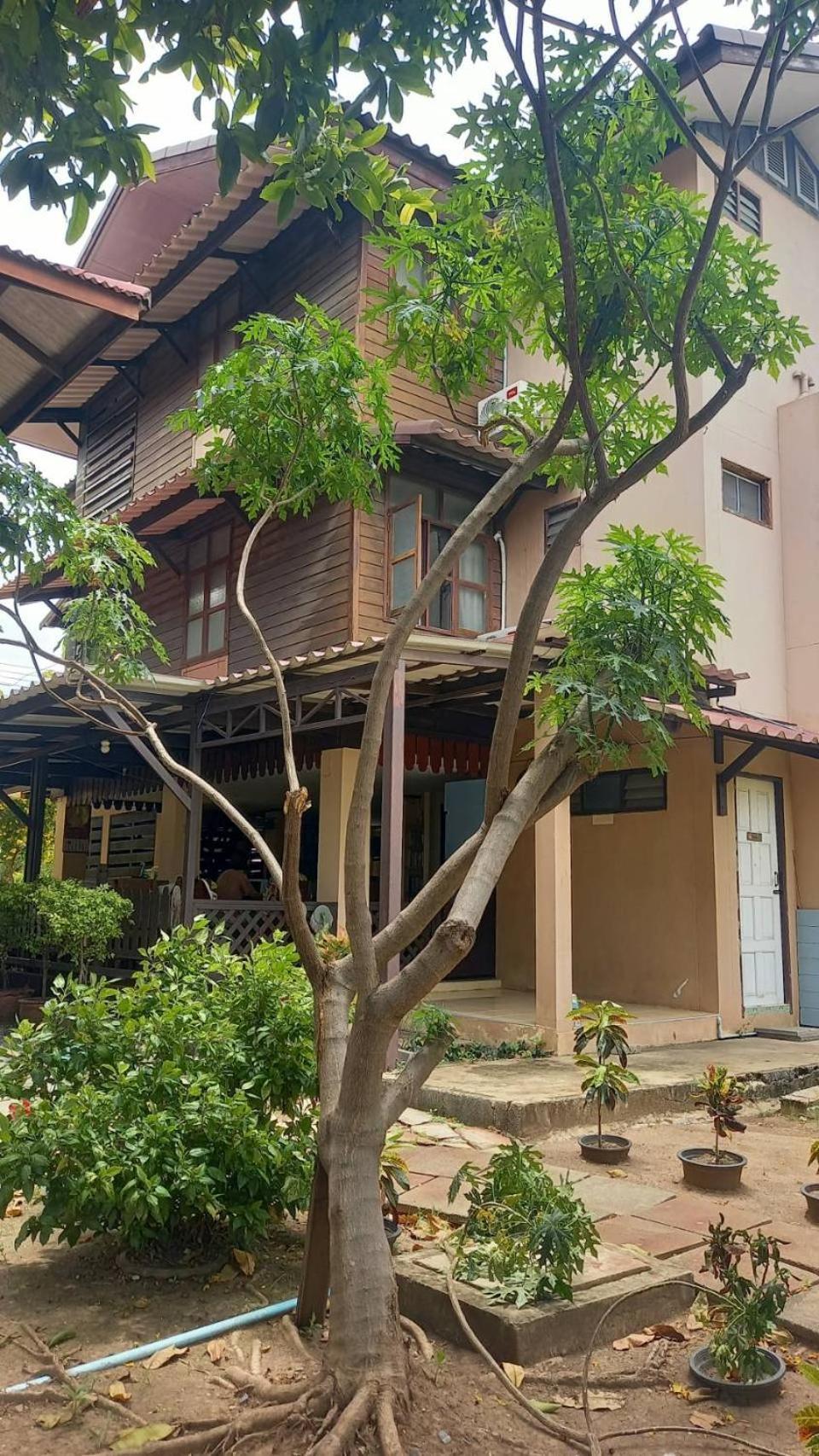Baan Lotus Guest House Ayutthaya Exteriér fotografie